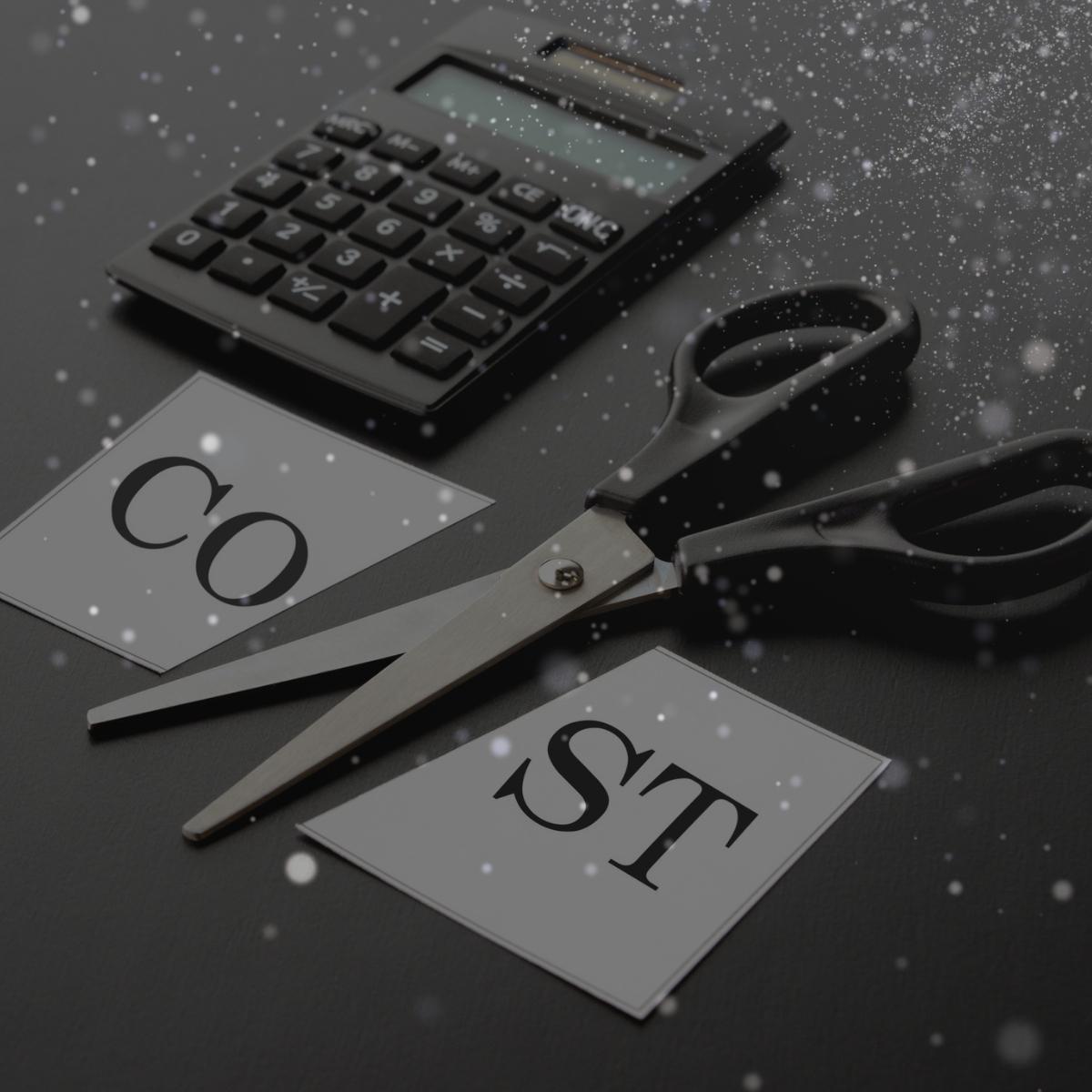 cost efficiency raynetic solutions